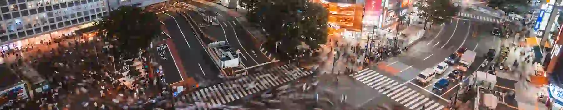 busystreetcrossing.webp