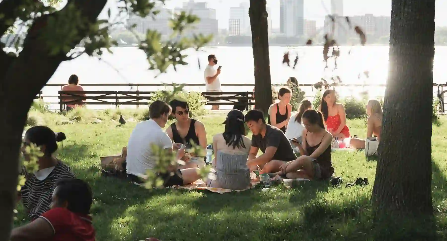 park.webp