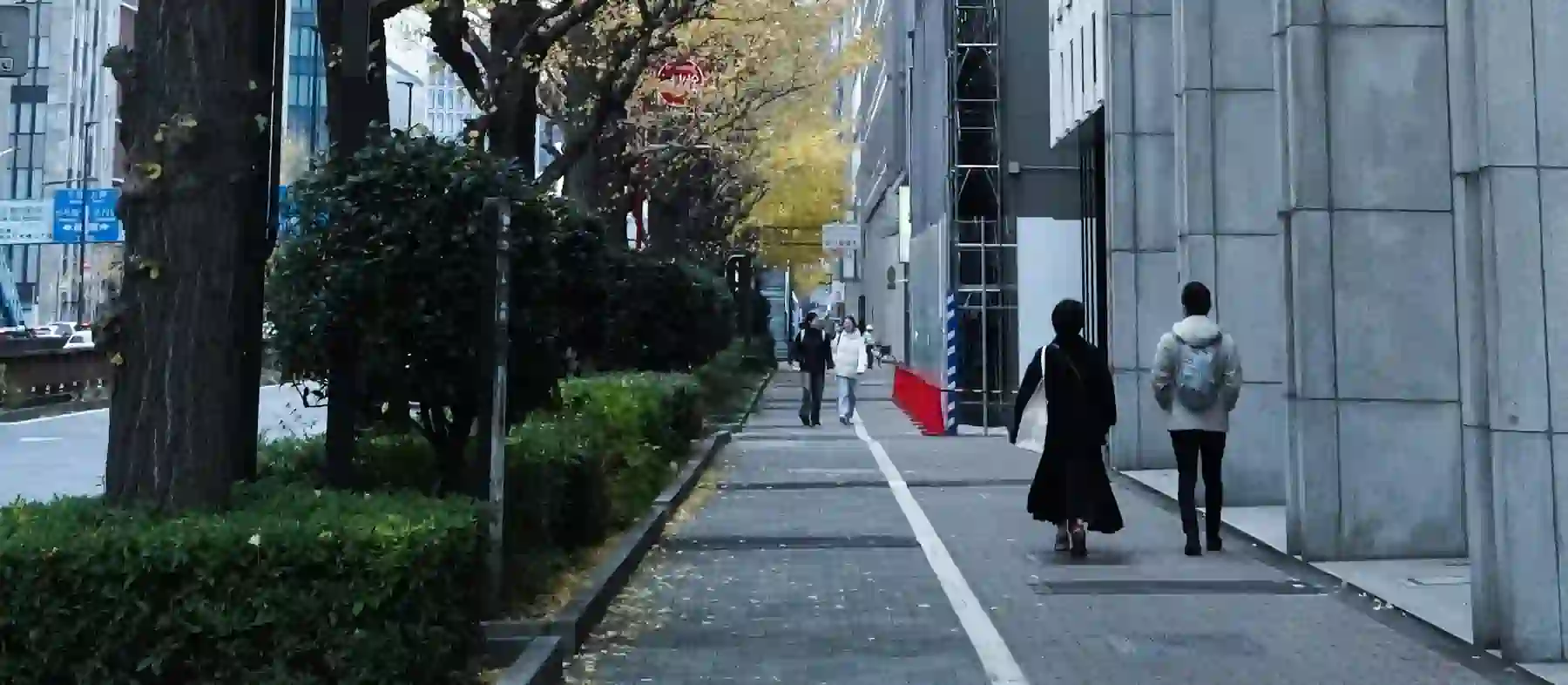 walking.webp